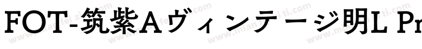FOT-筑紫Aヴィンテージ明L Pro R字体转换